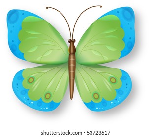 vector butterfly