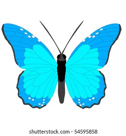 Vector butterfly