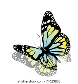 vector butterfly