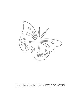 vector butterfly animals template design