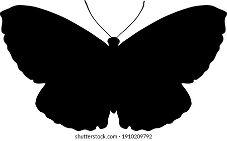 mariposa vectorial. silueta negra aislada sobre fondo blanco