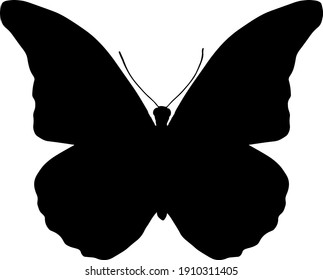 mariposa vectorial. silueta negra aislada sobre fondo blanco