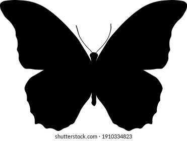 vector butterfly. black silhouette isolated on white 