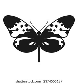 Vector Butterfly Black Silhouette Isolated on White Background. Decorative Insect Illustration.