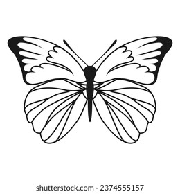 Vector Butterfly Black Silhouette Isolated on White Background. Decorative Insect Illustration.