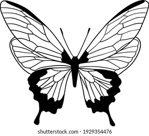 vector butterfly black and white element line art print design