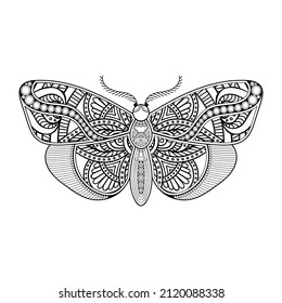 vector butterfly black and white element line art print design