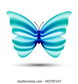 vector butterfly with blending colors isolated on white background