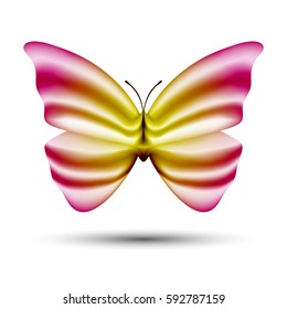 vector butterfly with blending colors isolated on white background