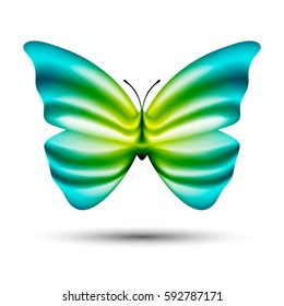 vector butterfly with blending colors isolated on white background