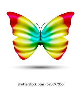 vector butterfly with blending colors isolated on white background