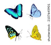 vector butterfly, blue yellow flying butterflies. 