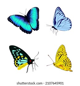 mariposa vectorial, mariposas voladoras amarillas azules. 