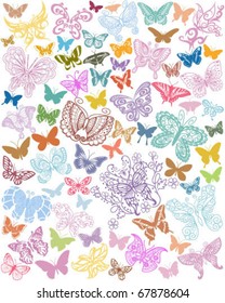 Vector Butterfly Collection