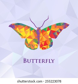 Vector butterfly color geometric. Abstract insect. Polygonal design eps10.