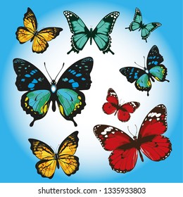 VECTOR BUTTERFLY WITH COLORFUL