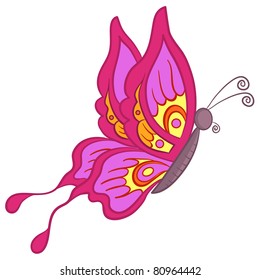Vector, butterfly with colorful wings on a white background