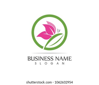 Vector - Butterfly conceptual simple, colorful icon. Logo. Vector illustration

