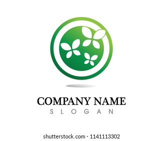 Vector - Butterfly conceptual simple, colorful icon. Logo. Vector illustration