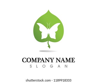 Vector - Butterfly conceptual simple, colorful icon. Logo. Vector illustration
