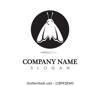Vector - Butterfly conceptual simple, colorful icon. Logo. Vector illustration
