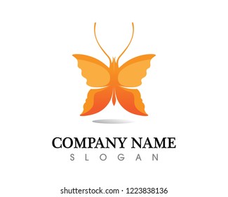Vector - Butterfly conceptual simple, colorful icon. Logo. Vector illustration