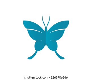 Vector - Butterfly conceptual simple, colorful icon. Logo. Vector illustration
