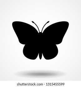 Vector - Butterfly conceptual simple, colorful icon. Logo. Vector illustration