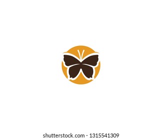 Vector - Butterfly conceptual simple, colorful icon. Logo. Vector illustration