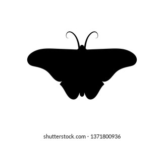 Vector - Butterfly conceptual simple, colorful icon. Logo. Vector illustration
