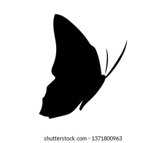 Vector - Butterfly conceptual simple, colorful icon. Logo. Vector illustration
