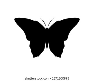 Vector - Butterfly conceptual simple, colorful icon. Logo. Vector illustration
