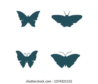 Vector - Butterfly conceptual simple, colorful icon. Logo. Vector illustration