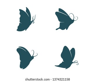 Vector - Butterfly conceptual simple, colorful icon. Logo. Vector illustration