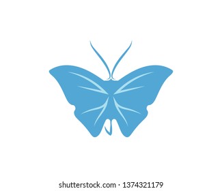 Vector - Butterfly conceptual simple, colorful icon. Logo. Vector illustration
