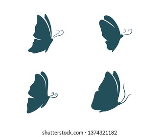 Vector - Butterfly conceptual simple, colorful icon. Logo. Vector illustration