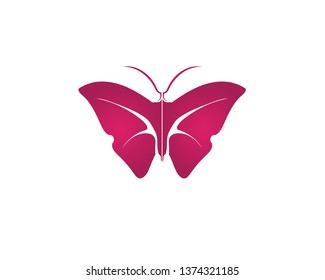 Vector - Butterfly conceptual simple, colorful icon. Logo. Vector illustration
