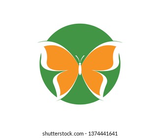 Vector - Butterfly conceptual simple, colorful icon