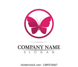 Vector - Butterfly conceptual simple, colorful icon. Logo. Vector illustration
