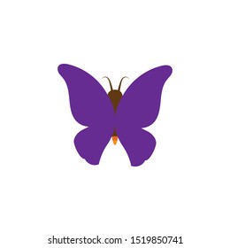Vector - Butterfly conceptual simple, colorful icon. Logo. Vector illustration
