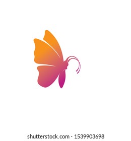 Vector Butterfly conceptual simple colorful icon Logo Vector Animal