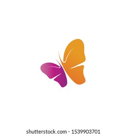 Vector Butterfly conceptual simple colorful icon Logo Vector Animal