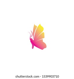 Vector Butterfly conceptual simple colorful icon Logo Vector Animal
