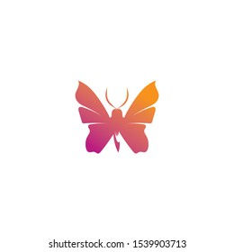 Vector Butterfly conceptual simple colorful icon Logo Vector Animal