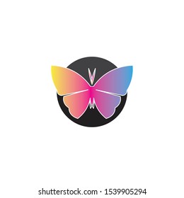 Vector Butterfly conceptual simple colorful icon Logo Vector Animal