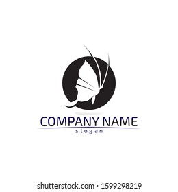 Vector Butterfly conceptual simple colorful icon Logo Vector Animal