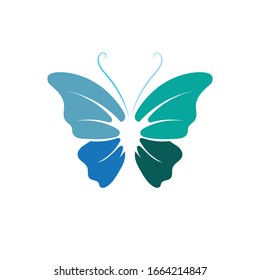 Vector Butterfly conceptual simple colorful icon 