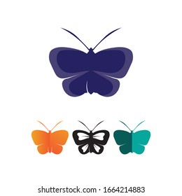 Vector Butterfly conceptual simple colorful icon 