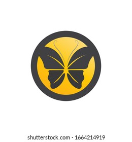 Vector Butterfly conceptual simple colorful icon
