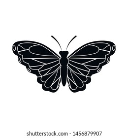 Vector butterfly creature illustration sign. Butterfly wildlife stock vector illustration.